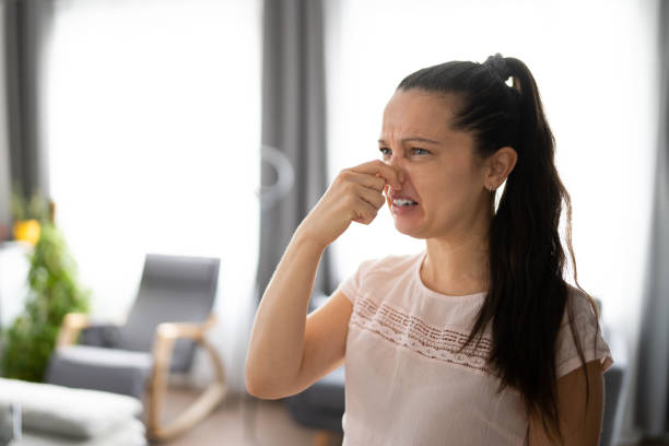 Why Your House Smells Like Sewage: Causes and When It's an Emergency