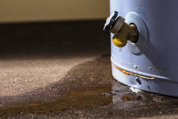 Why Is My Water Heater Leaking? A Plumber's Diagnostic Guide