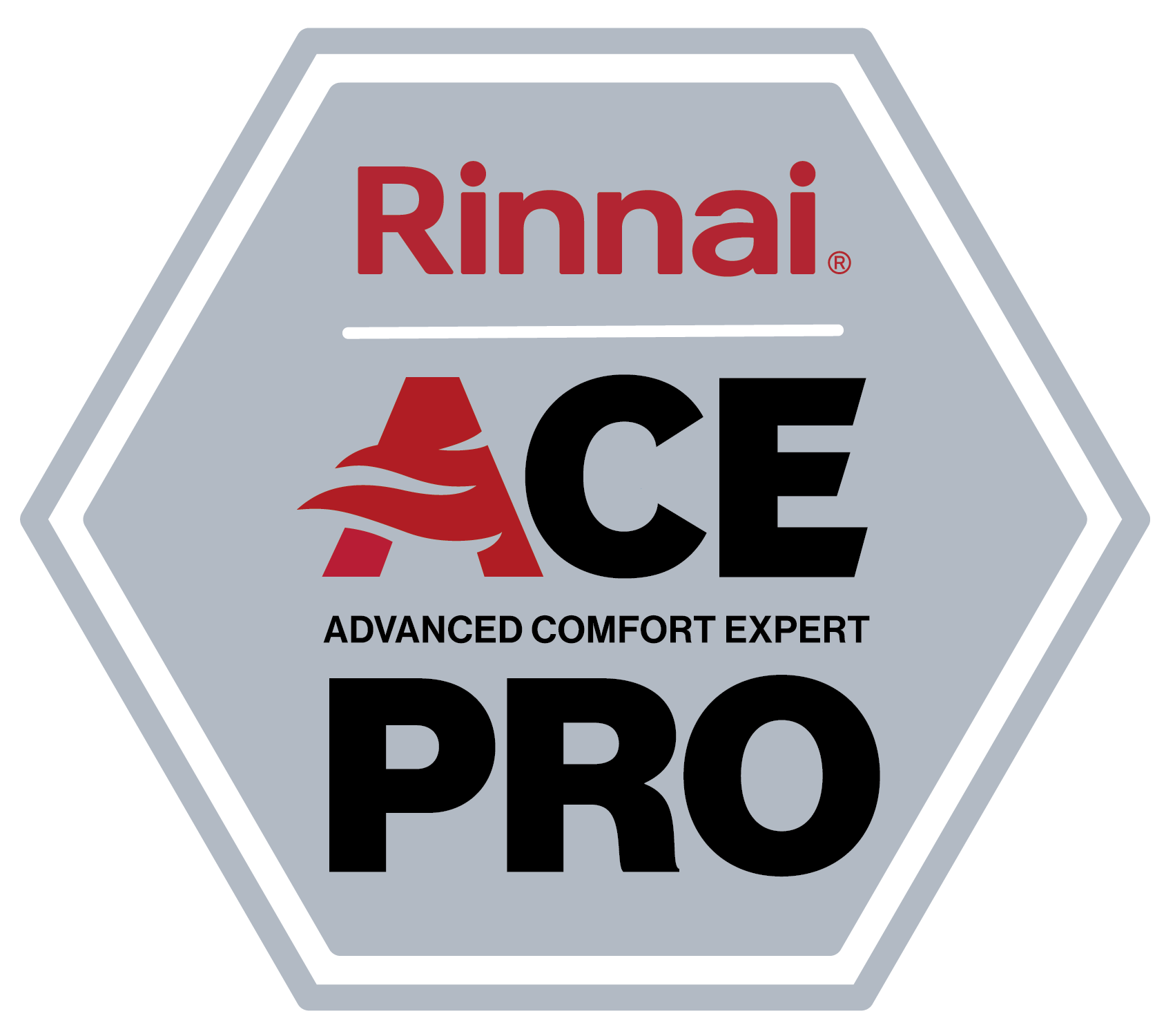 Rinnai Ace Pro