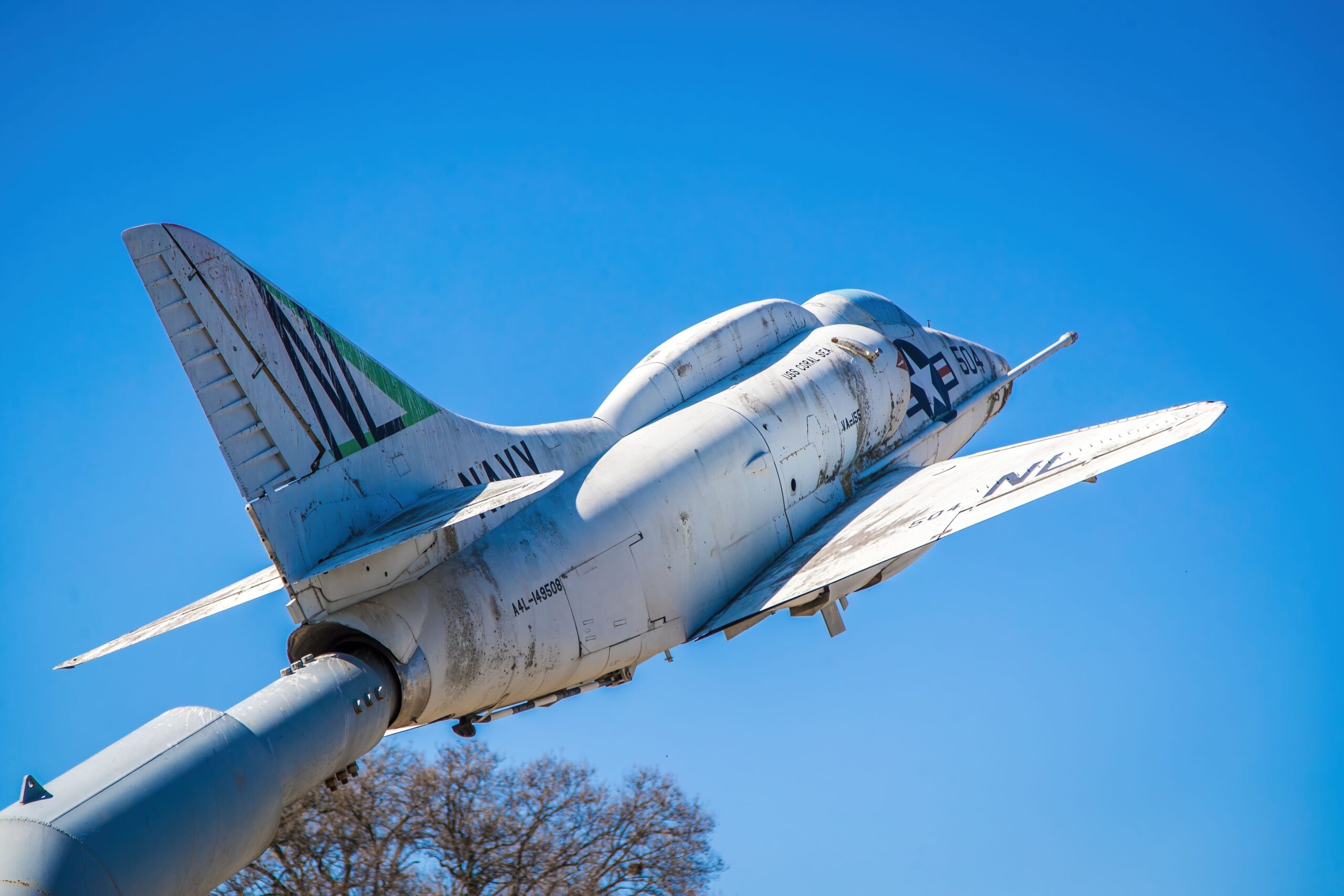 Taking flight in Covington, TN